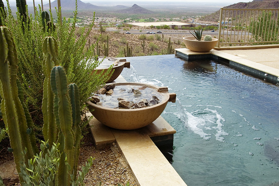 house with pool and cactus garden phoenix az